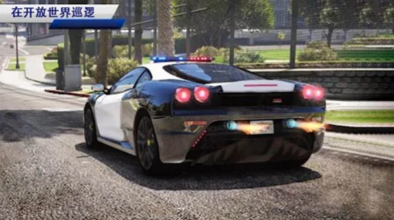 欧洲警车驾驶模拟游戏安卓版  v1.3图6
