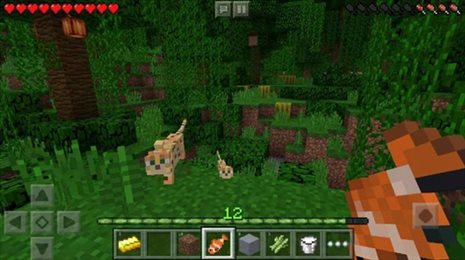 minecraft1.20基岩版手机下载更新版2023  v1.24.15.143964图3