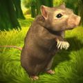 梦幻冒险动物之旅游戏安卓版  1.0