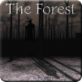 兰德里纳河的森林游戏中文版7723  v1.02