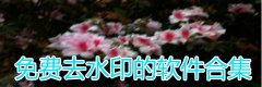 免费去水印的软件合集-免费去水印的软件大全 免费去水印的软件合集-免费去水印的软件大全
