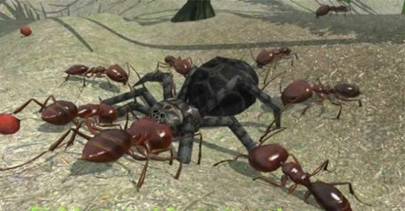 3d蚂蚁模拟器游戏最新版  v3.3.4图3