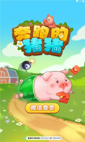 奔跑的猪猪红包游戏正版  v1.0.1图1