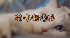 猫咪翻译器大全-猫咪翻译器推荐 猫咪翻译器大全-猫咪翻译器推荐