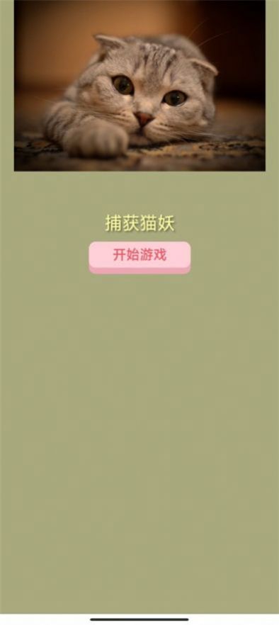 捕获猫妖游戏安卓手机版  v1.0图2
