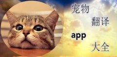 宠物语言翻译软件大全-宠物语言翻译软件合集 宠物语言翻译软件大全-宠物语言翻译软件合集