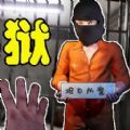 狱长模拟器安卓中文最新版  v1.0