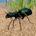 蚂蚁吞噬万物游戏安卓手机版  1.0.0