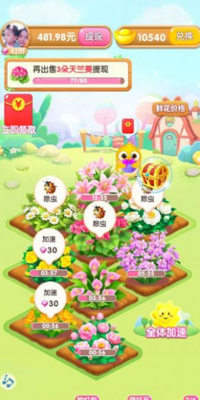 四季养花红包游戏正版  v1.0.2图3