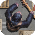 Ape Inshadow游戏下载_Ape Inshadow黑猩猩暗杀行动手机游戏 V1.0.0