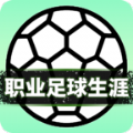职业足球生涯游戏官方版  v1.0.0