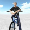 3D自行车终极狂飙游戏安卓版  v1.0