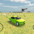印度农村驾驶的过程游戏官方最新版  v4.8.24