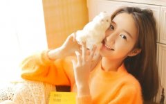 免费的短视频软件大全-免费的短视频软件合集 免费的短视频软件大全-免费的短视频软件合集