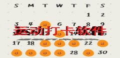 运动打卡软件大全-运动打卡软件合集 运动打卡软件大全-运动打卡软件合集