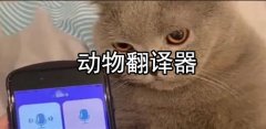 动物翻译器大全-动物翻译器推荐 动物翻译器大全-动物翻译器推荐