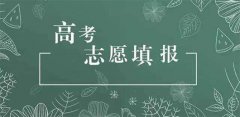 好用的志愿填报软件排行榜-好用的志愿填报软件推荐 好用的志愿填报软件排行榜-好用的志愿填报软件推荐