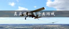 真实模拟飞行类游戏有哪些-真实模拟飞行类游戏推荐 真实模拟飞行类游戏有哪些-真实模拟飞行类游戏推荐