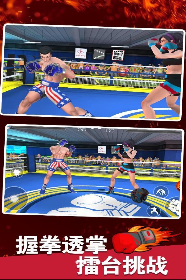 拳击明星对决游戏安卓版  v1.0.0图2