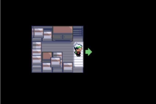 宝可梦run and bun游戏中文汉化版  v1.0图2
