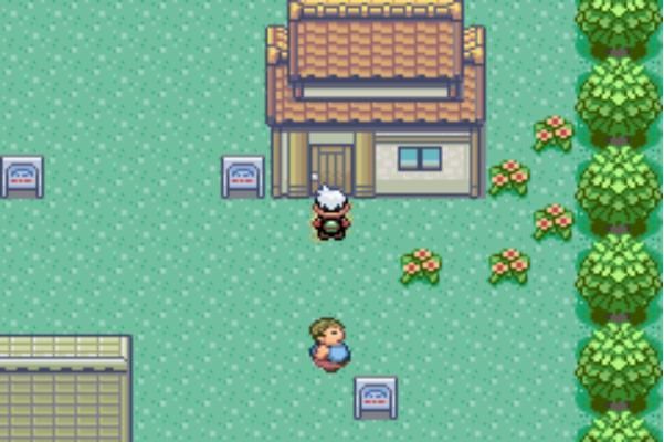 宝可梦run and bun游戏中文汉化版  v1.0图1