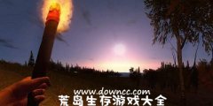 荒岛生存模拟游戏大全-荒岛生存模拟游戏有哪些 荒岛生存模拟游戏大全-荒岛生存模拟游戏有哪些