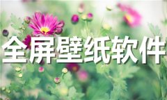 全屏壁纸软件排行榜-全屏壁纸软件大全 全屏壁纸软件排行榜-全屏壁纸软件大全