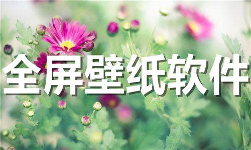 全屏壁纸软件
