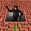 3D迷宫大挑战游戏官方版  v1.0