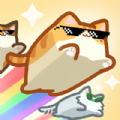 Box Cat Jam Block Match for android download  v4.2.5