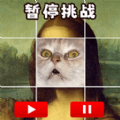 极限暂停挑战游戏官方版  v1.0