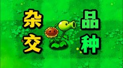 植物大战僵尸杂交版系列合集-植物大战僵尸杂交版系列大全 植物大战僵尸杂交版系列合集-植物大战僵尸杂交版系列大全