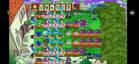 植物大战僵尸ikun手机版下载  1.1.1图1