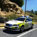 单机极速赛车游戏官方版  v1.1