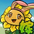 植物僵尸战争娘化版游戏官方版  v1.3