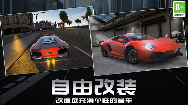 赛道狂野王者游戏官方版  v1.0.1图1