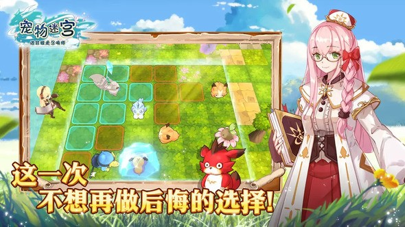 宠物迷宫好玩吗攻略大全