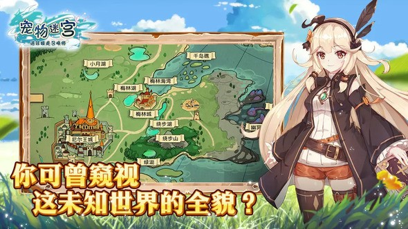 宠物迷宫好玩吗攻略大全