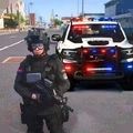 警车极速追击官方版游戏  v1.1