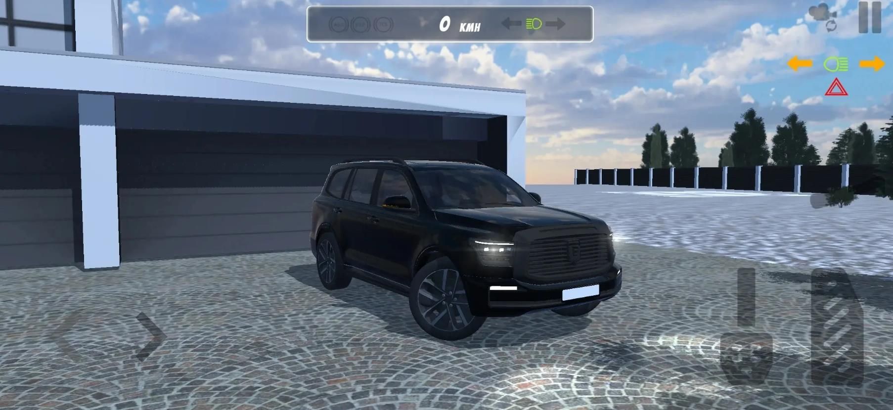 国产车模拟器游戏最新版  v1图2