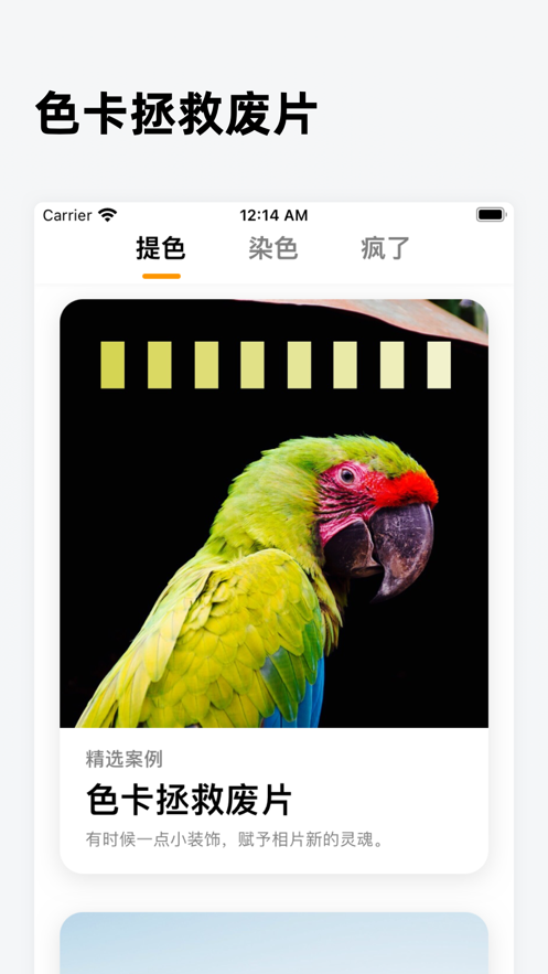 色卡app官方下载安装