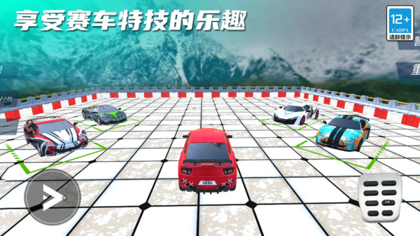 汽车漂移拉力赛游戏中文最新版图片1