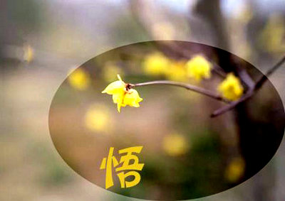 霸气好听的游戏家族名字