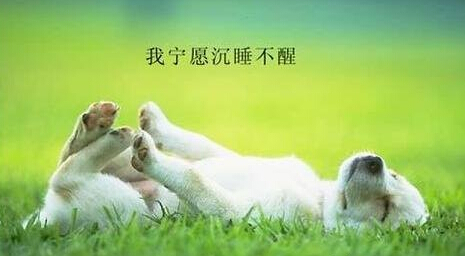 有哲理的感情签名句子