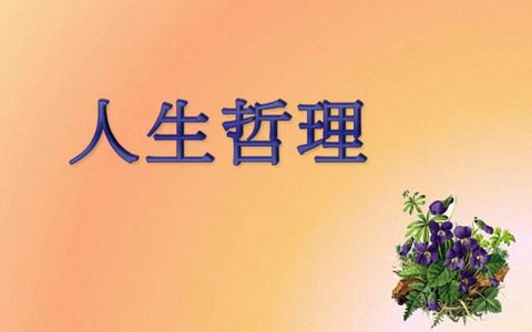 这世界上最美好的事情，莫过于吃肉。