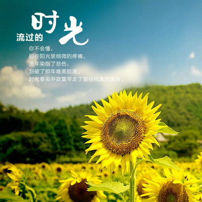 放慢脚步，活好自己