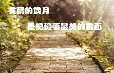 曾经我也这样深情不悔的爱过爱情