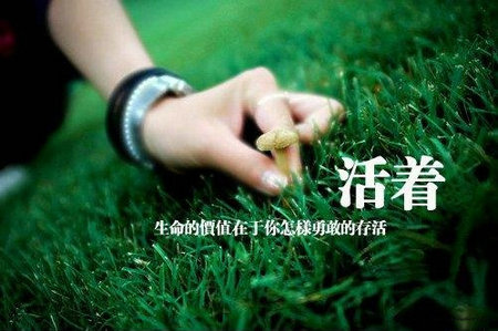 2020执着伤感的qq网名设计 我在你心里已过期