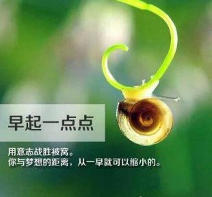 最新很烦很累的心情说说大全 人越来越没有耐心最怕招惹麻烦