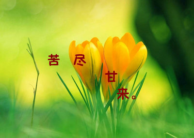 不敢迈步，就永远走不出自己的路